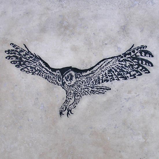 Tawny Owl Engraving