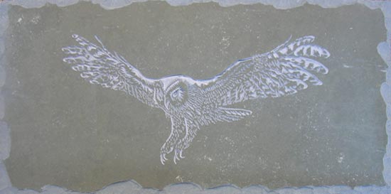 Tawny Owl Engraving