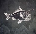 Deep Sea Angler Engraving