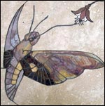 Hawkmoth on Fuchsia Mosaic